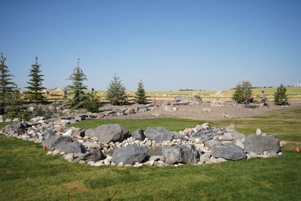 DSC06966